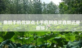 曲屏手机优缺点（手机到底买直屏还是曲屏）