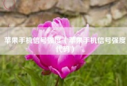 苹果手机信号强度（苹果手机信号强度代码）