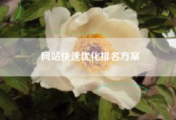 网站快速优化排名方案
