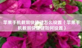 苹果手机截屏快捷键怎么设置（苹果手机截屏快捷键如何设置）