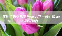 移动广告交易平台AdView下一步：做ADX的先驱者