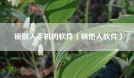 锁别人手机的软件（锁他人软件）