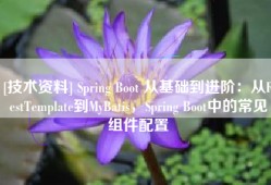 [技术资料] Spring Boot 从基础到进阶：从RestTemplate到MyBatis，Spring Boot中的常见组件配置