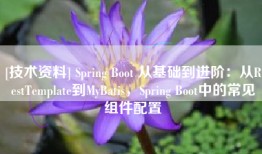 [技术资料] Spring Boot 从基础到进阶：从RestTemplate到MyBatis，Spring Boot中的常见组件配置