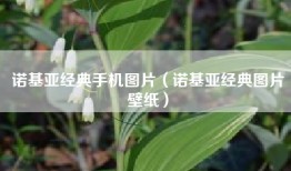 诺基亚经典手机图片（诺基亚经典图片壁纸）
