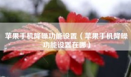苹果手机降噪功能设置（苹果手机降噪功能设置在哪）