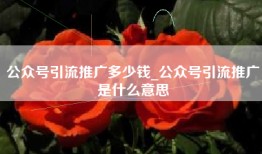 公众号引流推广多少钱_公众号引流推广是什么意思