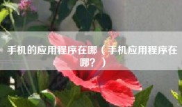 手机的应用程序在哪（手机应用程序在哪？）