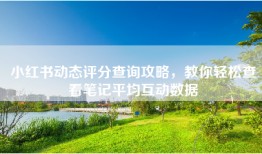 小红书动态评分查询攻略，教你轻松查看笔记平均互动数据