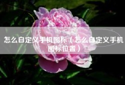 怎么自定义手机图标（怎么自定义手机图标位置）