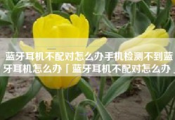 蓝牙耳机不配对怎么办手机检测不到蓝牙耳机怎么办「蓝牙耳机不配对怎么办」