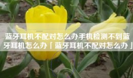 蓝牙耳机不配对怎么办手机检测不到蓝牙耳机怎么办「蓝牙耳机不配对怎么办」