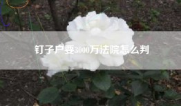 钉子户要3000万法院怎么判