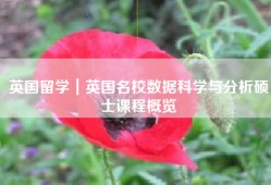 英国留学｜英国名校数据科学与分析硕士课程概览