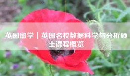 英国留学｜英国名校数据科学与分析硕士课程概览
