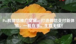 Pos机微信推广文案，打造微信支付新体验，一机在手，生意无忧！