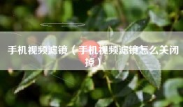 手机视频滤镜（手机视频滤镜怎么关闭掉）