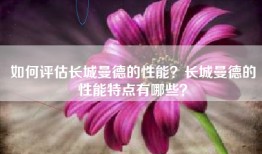 如何评估长城曼德的性能？长城曼德的性能特点有哪些？