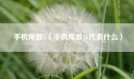 手机尾数5（手机尾数56代表什么）