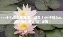 vivo手机怎么恢复出厂设置（vivo手机忘记密码怎么恢复出厂设置）