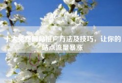 十大免费网站推广方法及技巧，让你的站点流量暴涨