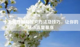 十大免费网站推广方法及技巧，让你的站点流量暴涨