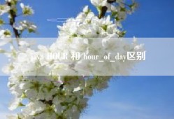 java HOUR 和 hour_of_day区别