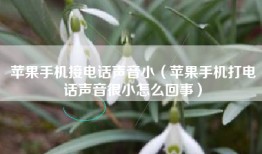 苹果手机接电话声音小（苹果手机打电话声音很小怎么回事）