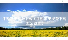手机来电视频下载（手机来电视频下载怎么设置）