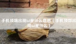手机顶端出现hd是什么意思（手机顶部出现hd是什么）