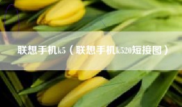 联想手机k5（联想手机k520短接图）