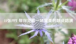 11张PPT 帮你完成一场完美的融资路演
