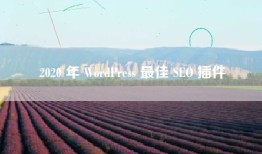 2020 年 WordPress 最佳 SEO 插件
