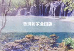 鲁班到家全国版