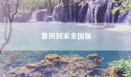 鲁班到家全国版