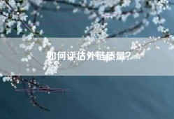 如何评估外链质量？