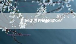如何评估外链质量？