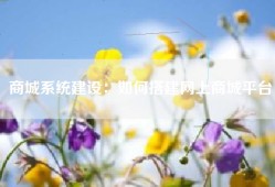 商城系统建设：如何搭建网上商城平台