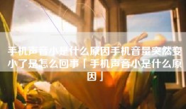 手机声音小是什么原因手机音量突然变小了是怎么回事「手机声音小是什么原因」