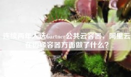 连续两年入选Gartner公共云容器，阿里云在边缘容器方面做了什么？