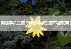 海信手机主题（海信手机主题不能联网）