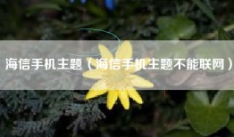 海信手机主题（海信手机主题不能联网）
