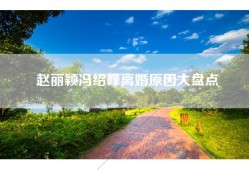 赵丽颖冯绍峰离婚原因大盘点