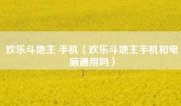 欢乐斗地主 手机（欢乐斗地主手机和电脑通用吗）