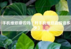 手机维修赚钱吗（开手机维修店投资多少）