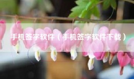 手机签字软件（手机签字软件下载）