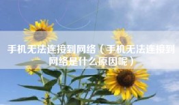 手机无法连接到网络（手机无法连接到网络是什么原因呢）