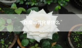 百度seo优化是什么