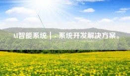 AI智能系统｜- 系统开发解决方案。