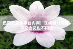 迅雷云盘全平台内测！在线磁力云播／不充会员也不限速！